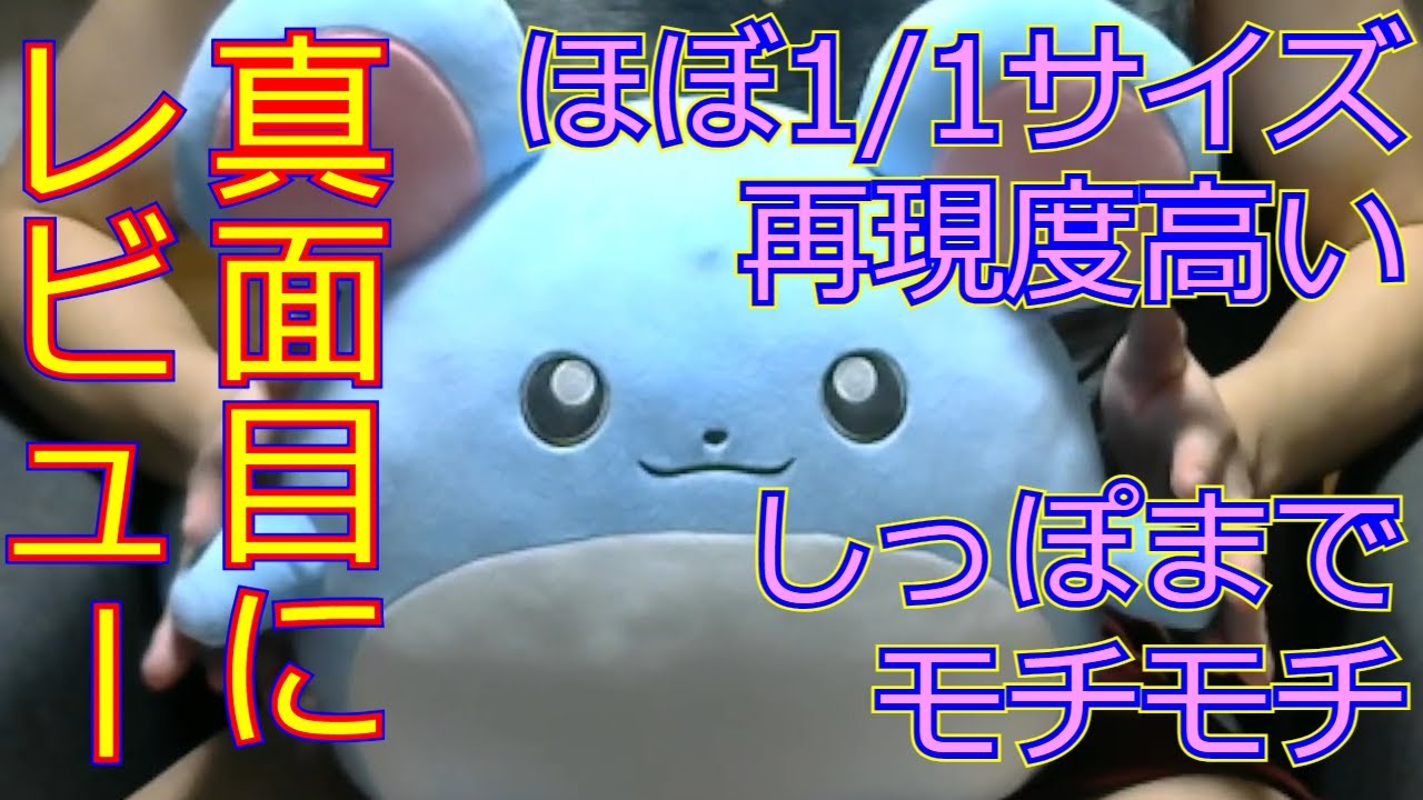 【もっちりっちぬいぐるみマリル】ガチレビュー【32歳男性】