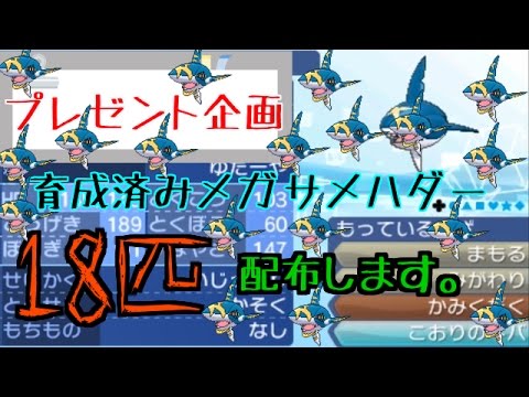 【締め切り間近】育成済みメガサメハダー18匹配布します！　高確率当選！！