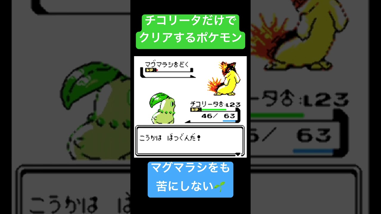 マグマラシをも苦にしない🌱#shorts #ポケモン縛り #ゲーム実況 #ポケモン #シングルバトル #ポケモンsv #チコリータ