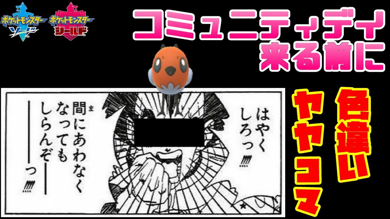【字幕動画】ヤヤコマコミュニティデイ前にヤヤコマ色違いを捕る【ポケモン剣盾】