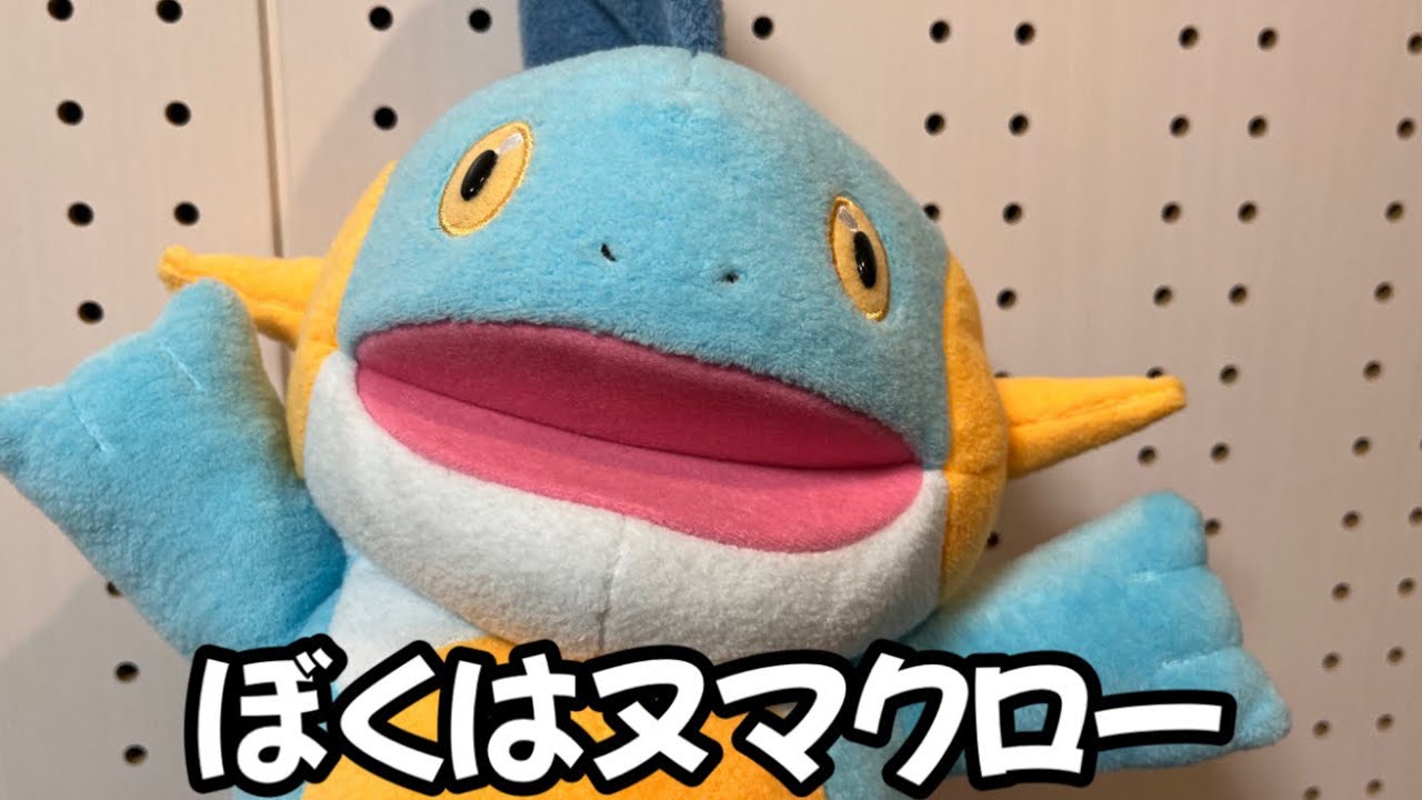 ぼくの名前はヌマクロー