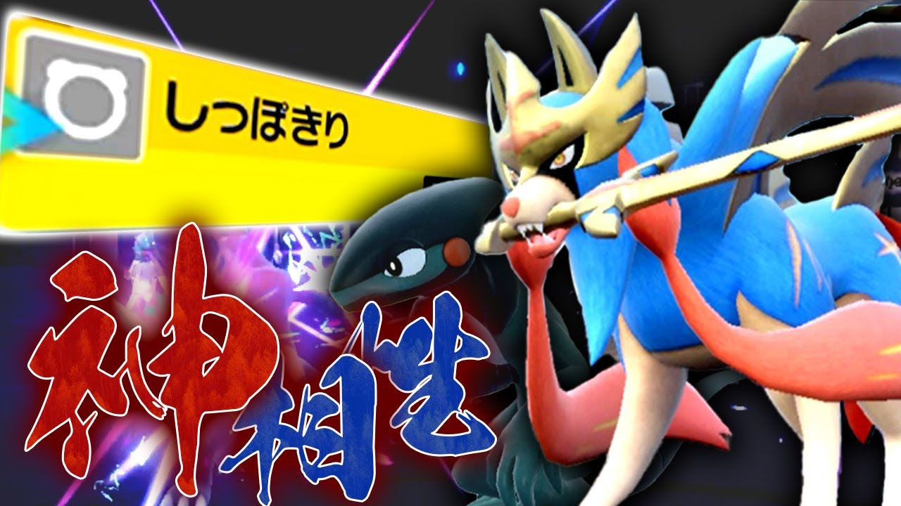 伝説環境で無双する並び「ザシアン＋モトトカゲ」を見つけてしまいました＾＾【ポケモンSV】