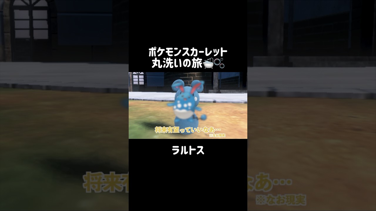 ルリリが乗ってる下の玉を洗うと…？🔵🤹‍♀️ #ルリリ #Azrill #ポケモンsv #ポケモンスカーレット #ポケモン #pokemon #shorts