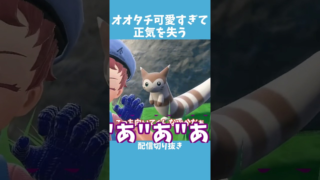 【ポケモンSV】オオタチがかわいすぎて正気を失う人の反応【ゼロの秘宝・前編 碧の仮面】【切り抜き】 #shorts #ポケモンSV #オオタチ