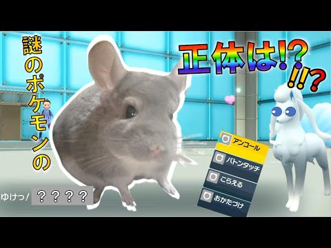 「謎のポケモン！？」竜舞バトンができる進化前ポケとは？　進化前統一ランクマパート93 [ポケモンSV] #チンチラ　#チラーミィ