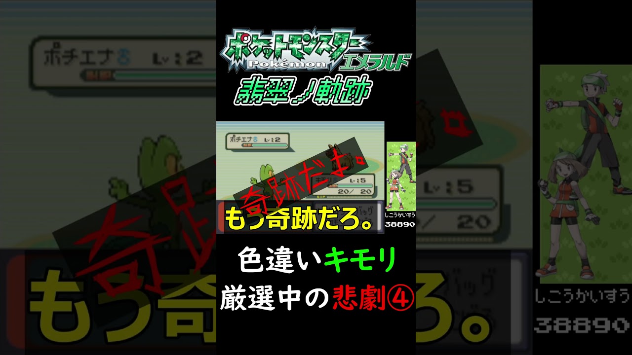 色違いキモリ厳選中の悲劇④