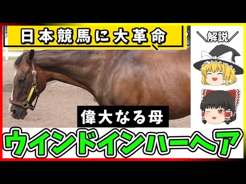 【聖母】ウインドインハーヘア