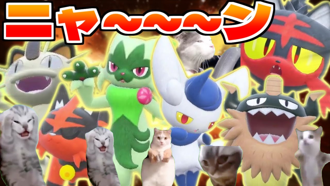 【ニャ】ニャんだ？！このパーティは？！？！#猫ミーム 【ポケモンSV】【ゆっくり実況】