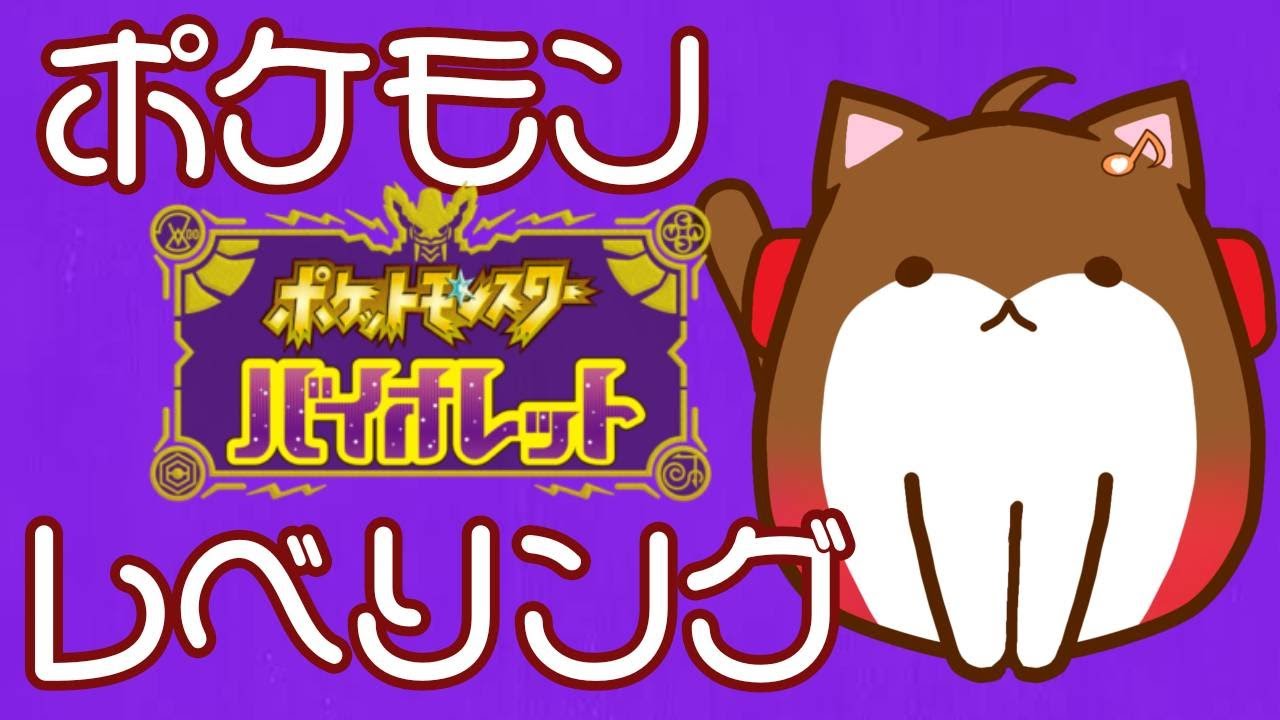 ハピナスブートキャンプ【ポケモンSV】