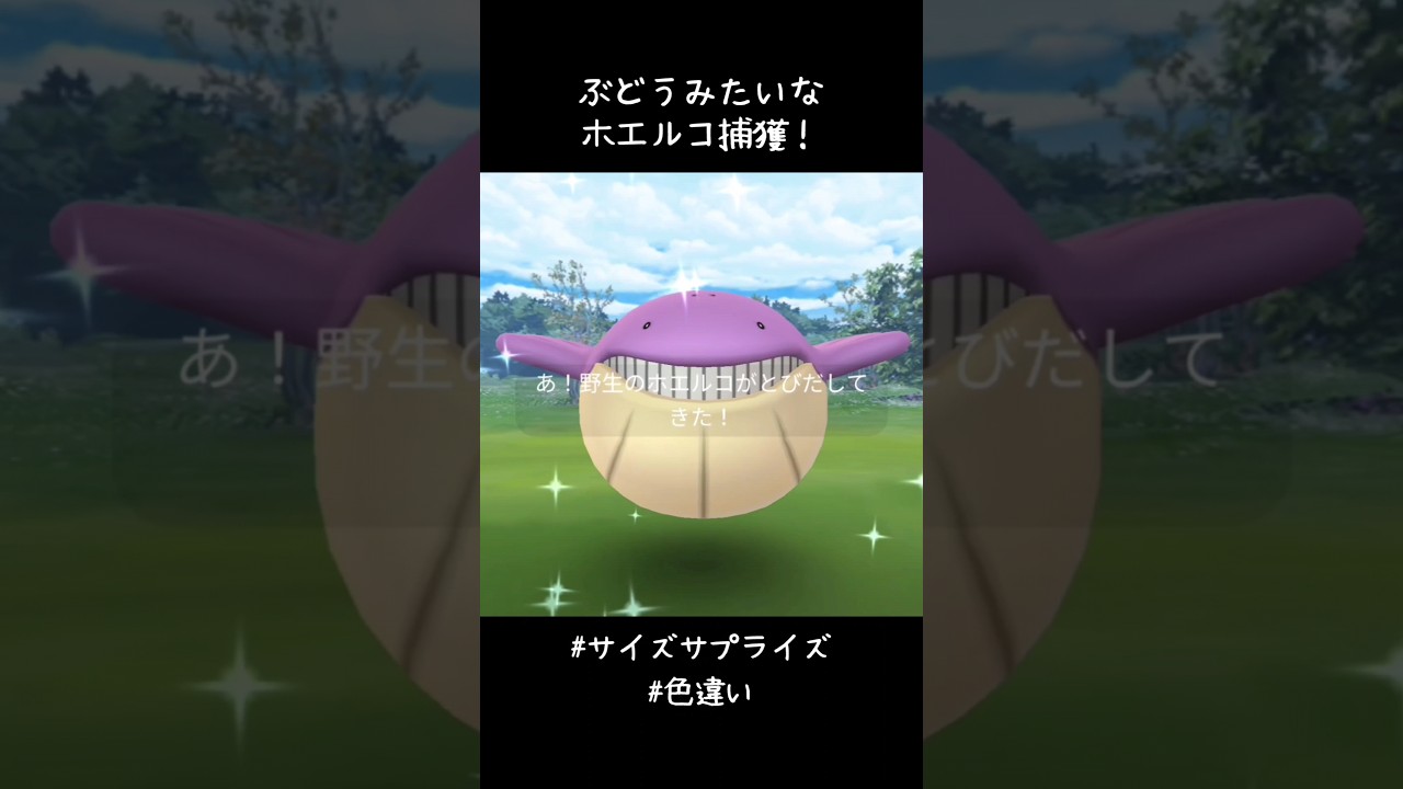 ぶどうみたいなホエルコ捕獲✨✨✨なんとか間に合った〜😅#ポケモンGO #サイズサプライズ #色違い