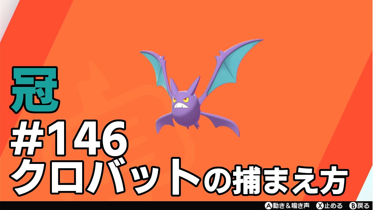 クロバットを探している方に見てほしい動画