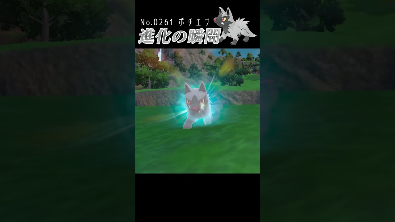 【碧の仮面】ポチエナ 進化の瞬間 #shorts