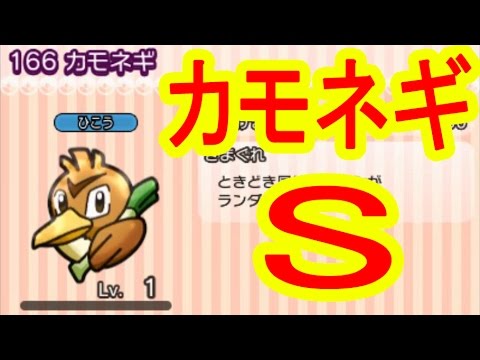 カモネギ　GET&Sランク　ポケとる実況　日替わりポケモン