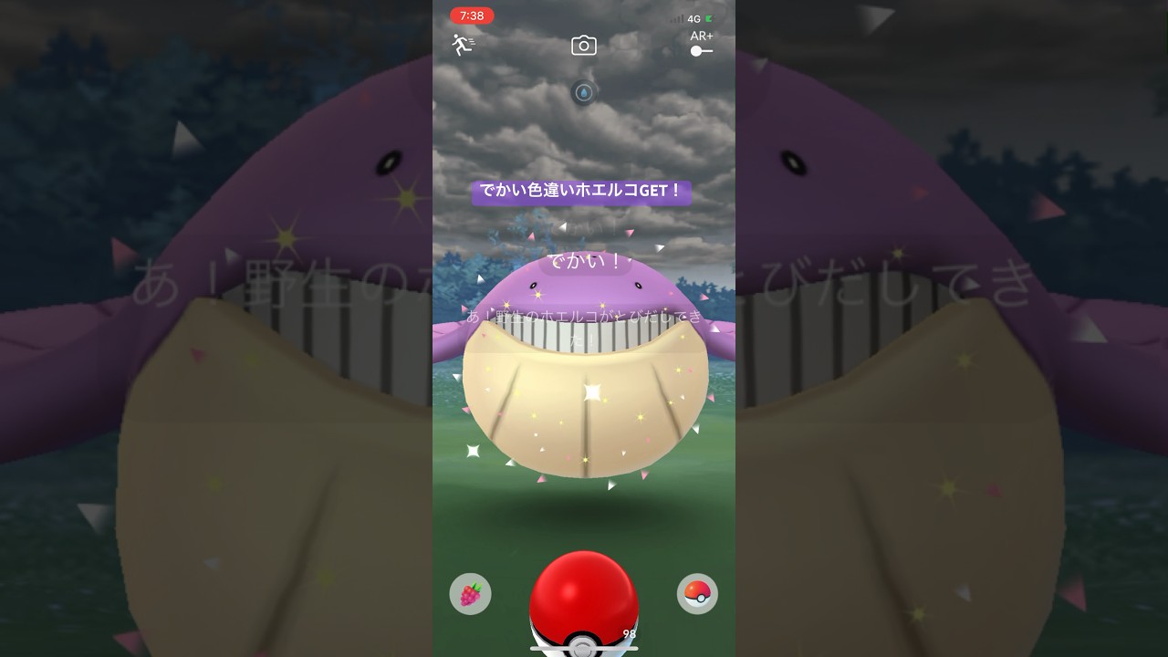 ポケモンGOでかい色違いホエルコGET！#ポケモン #ポケモンgo #pokemongo