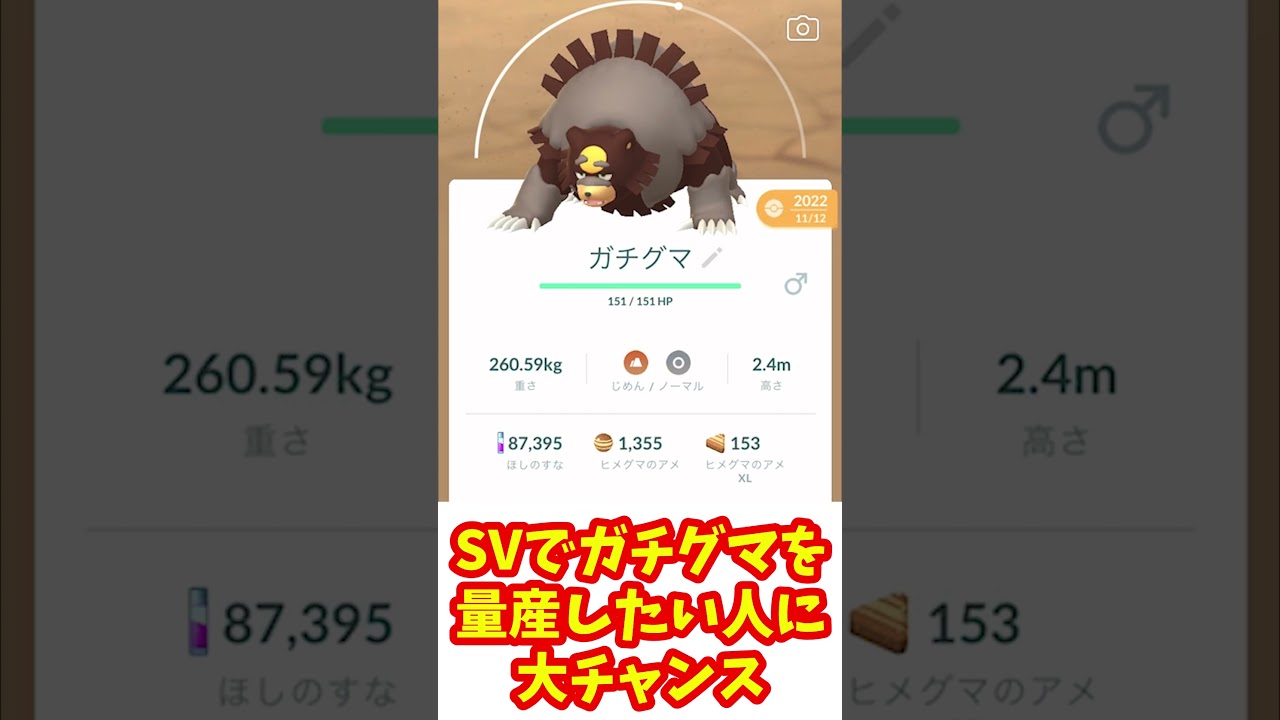 【ポケモンSV】ガチグマ量産のチャンス見逃す人絶対多い!!!急げ!!!