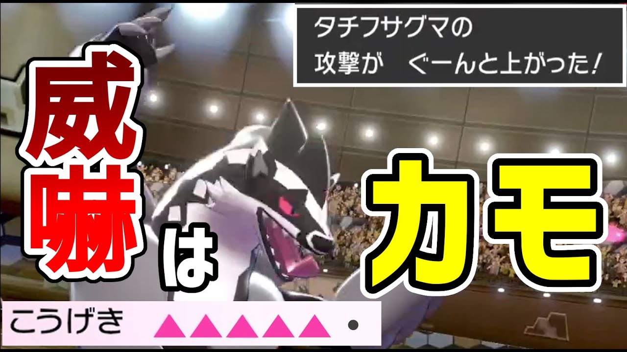 負けん気タチフサグマで世界１位のランクマッチPart12【ポケモン剣盾】