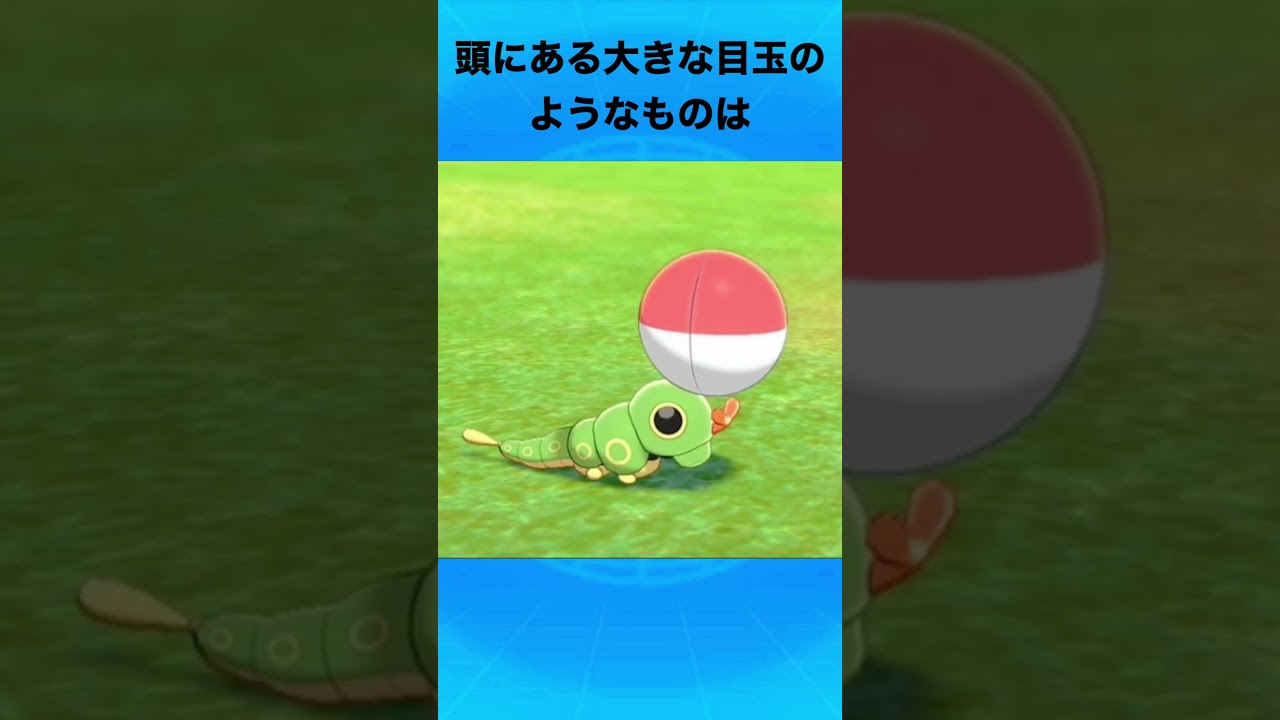 キャタピーについて #ポケモン #キャタピー #イモムシ