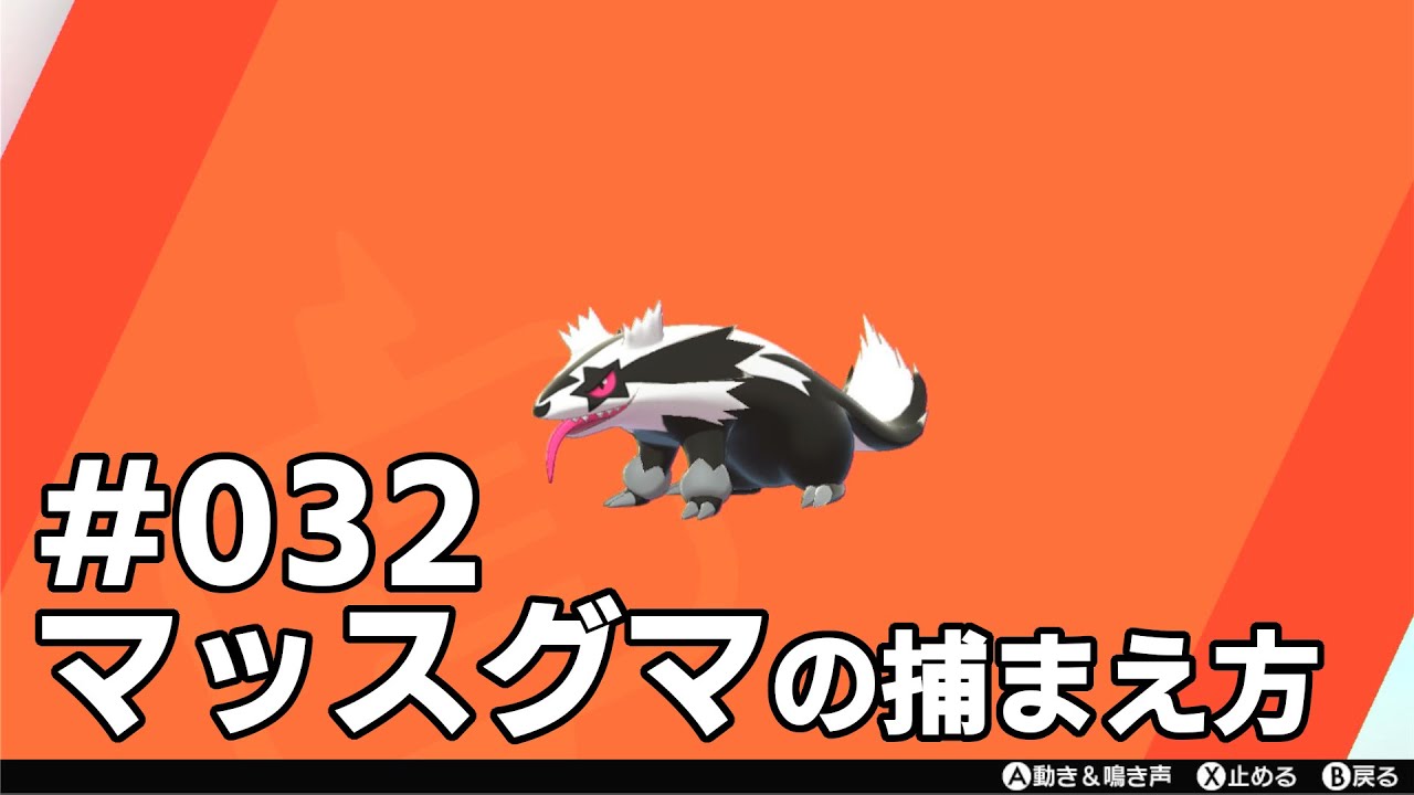 マッスグマを探している方に見てほしい動画