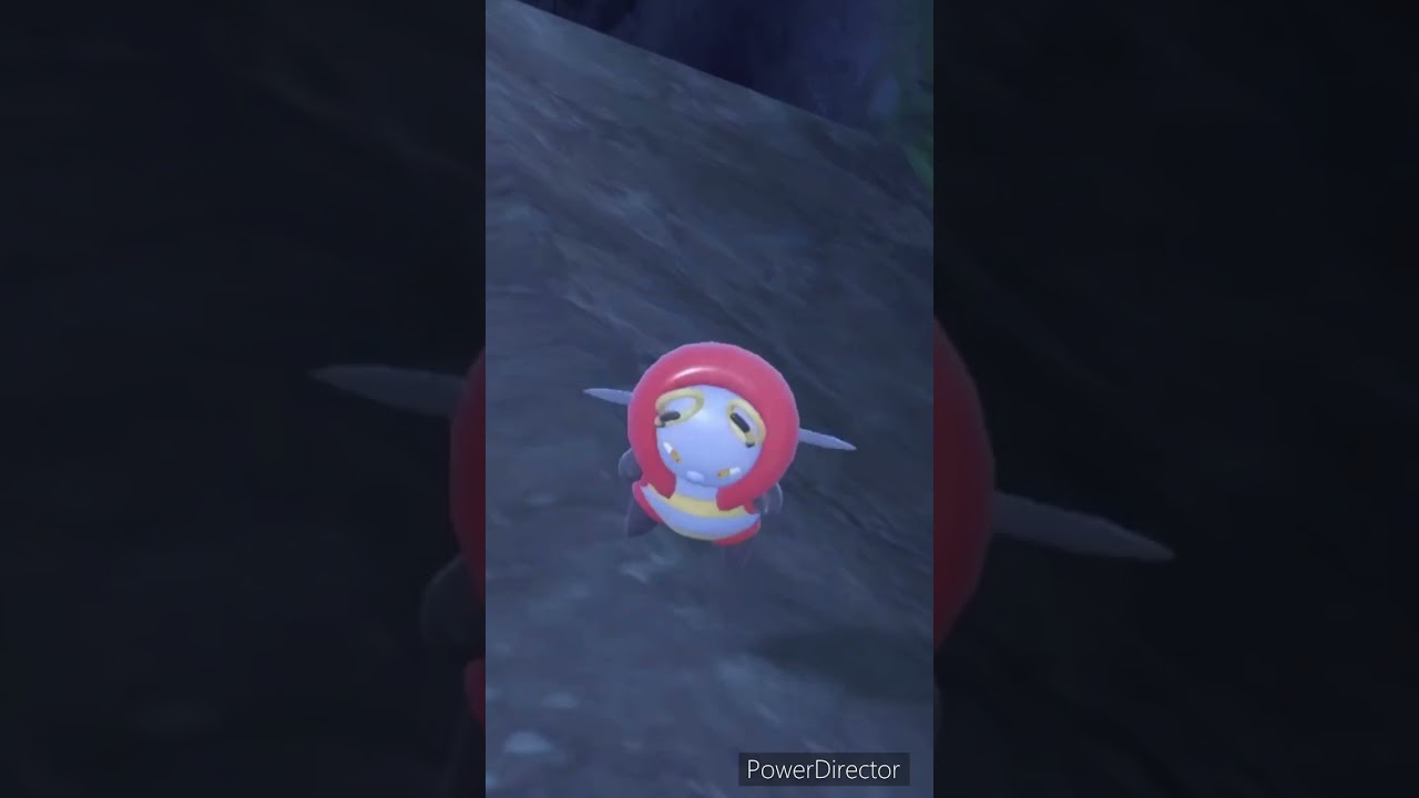 【ポケモンバイオレット】発見！バルビート！！　#ポケモンバイオレット #ゲームリハビリ #shorts