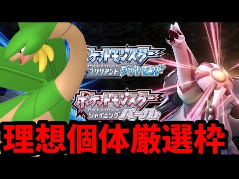 ポケモンダイパリメイク　理想個体フル遺伝トロピウス厳選生放送