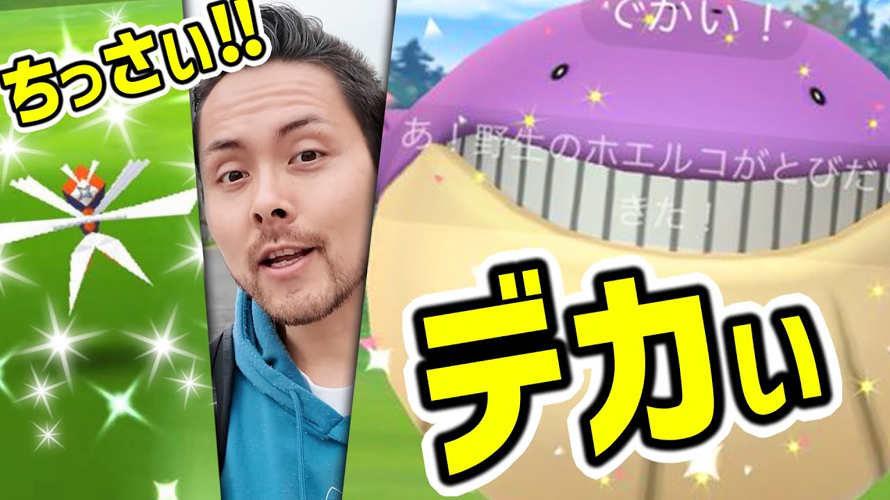 絶対ゲットしないと損する高個体&色違いカミツルギ！色違いコソクムシ！色違いＸＸＬ達！神イベント開始！【ポケモンGO】