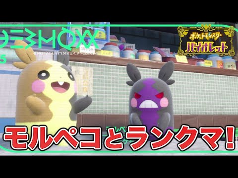 【ポケモンSV】モルペコとランクマ！【ポケットモンスター スカーレット・バイオレット】