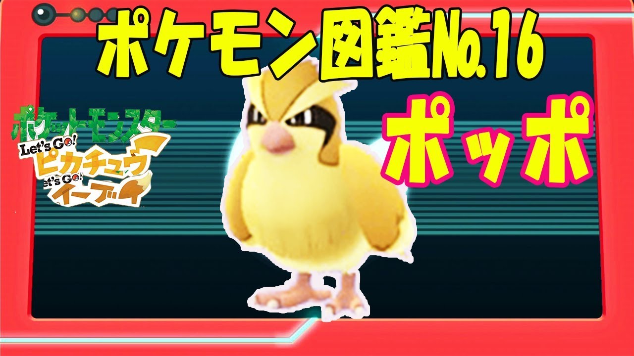 【ポケモン図鑑】No.16ポッポの特徴と鳴き声【ポケットモンスター Let's Go! ピカチュウ 】