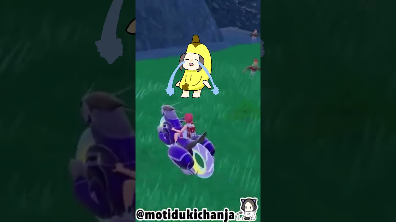 ルチャブルの色証厳選 #ポケモンsv