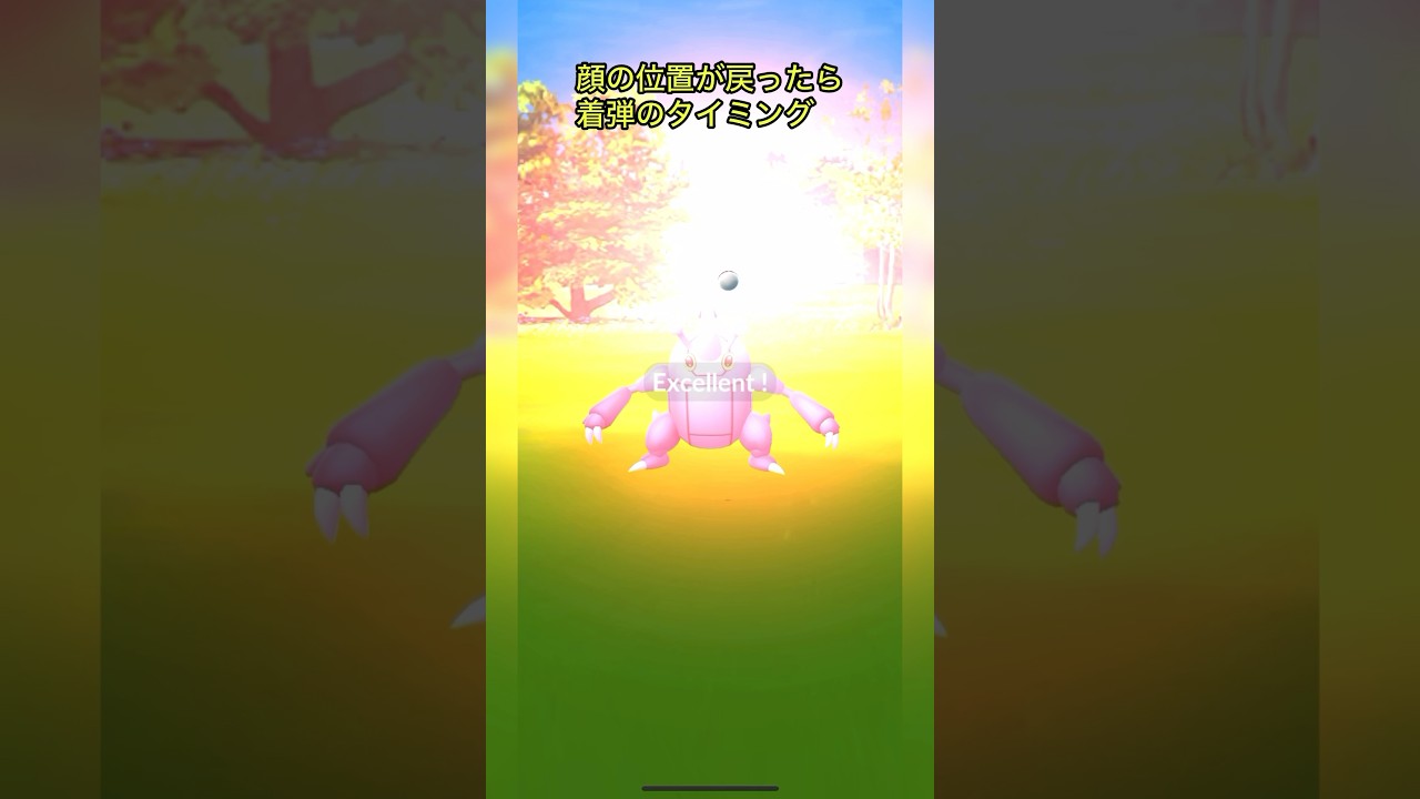 《ポケモンGO》見習いMゅによるエクセレント捕獲動画〜ヘラクロス編〜