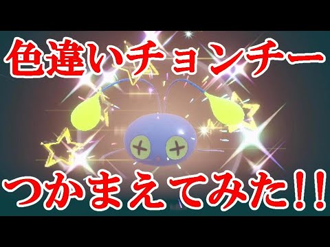 【ポケモンSV】色違いチョンチーつかまえてみた！！