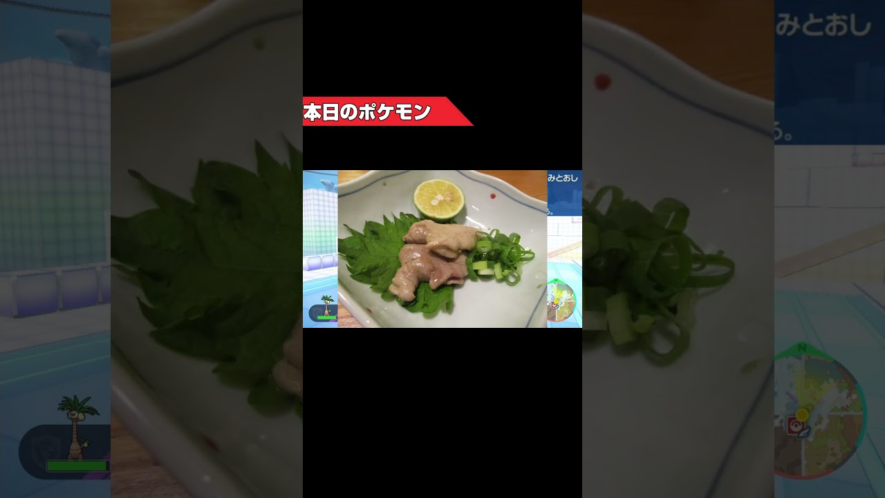 本日のポケモン　有利対面を作るアローラナッシー