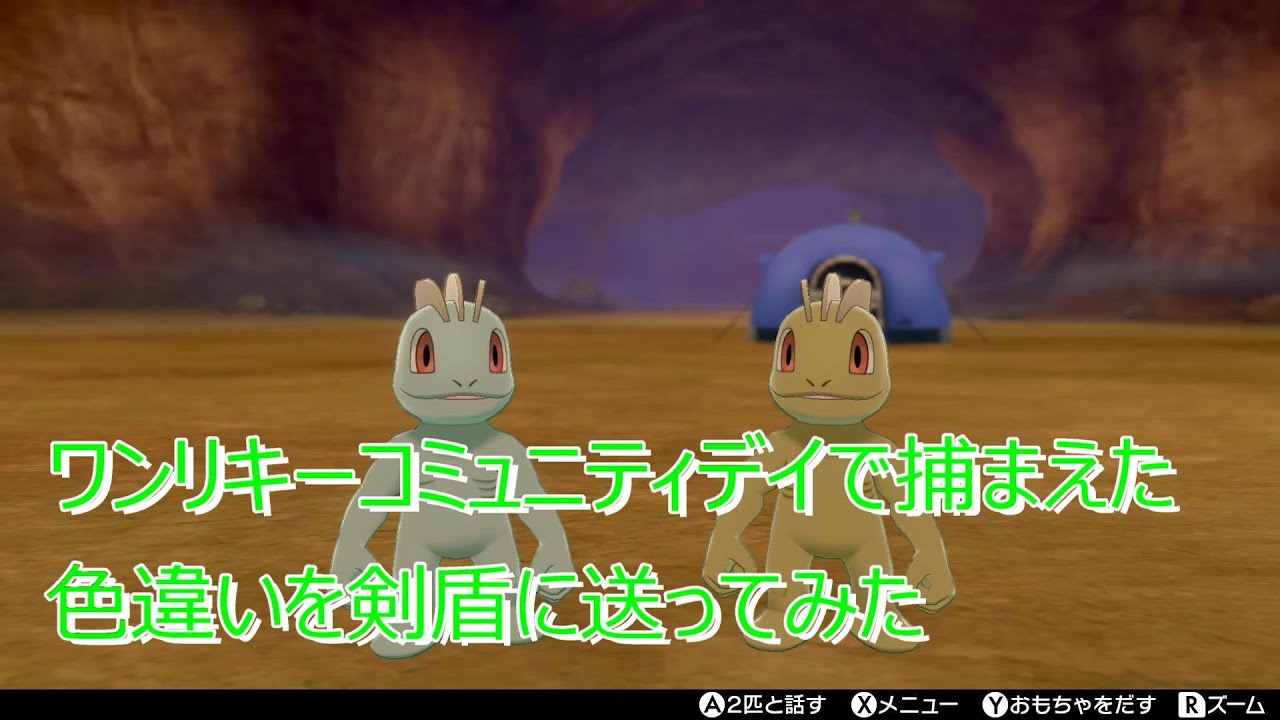 【ポケモン剣盾】ポケモンＧＯのコミュニティデイでワンリキーの色違いを捕まえたので、剣盾に送って見比べてみました！ついでにマッシブーンの色違いもイルヨ