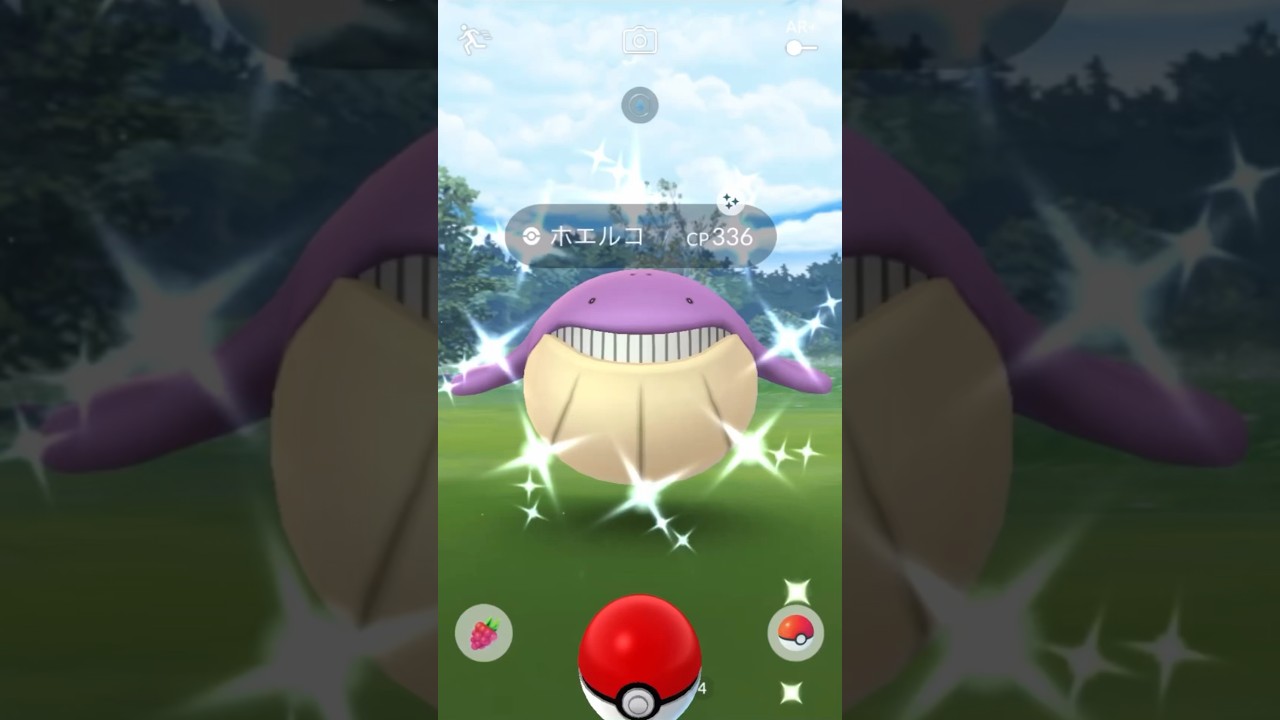 色違いホエルコをGET！ホエルオーに進化！