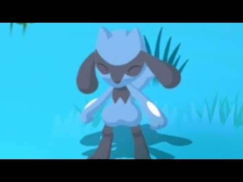 ポケモンとすやすやタイム🌙 二百六十五睡目