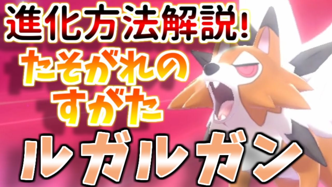 【鎧の孤島】2分で分かる！たそがれのすがたルガルガンへの進化方法を解説！【ポケモン剣盾】