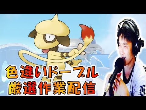 【#色別祭弐】初心者の色違い厳選配信　推しの色違いドーブルに会いたい！Twitch同時配信 ポケモンSV