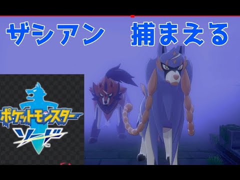 【#ポケモン剣盾】ザシアン捕まえたい　＃ポケモンSV ＃参加型  ＃ライブ配信