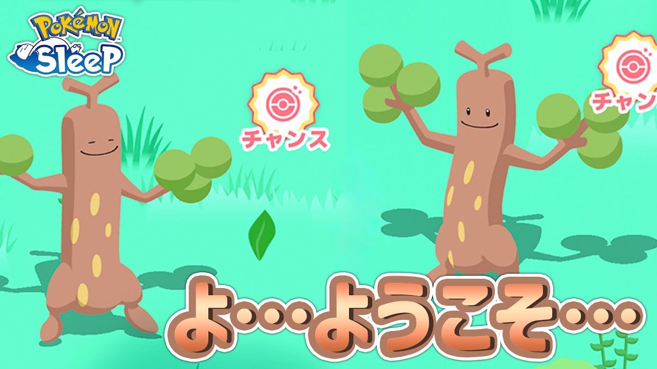 【ポケモンスリープ】どうやらウソッキーに好かれてるらしい