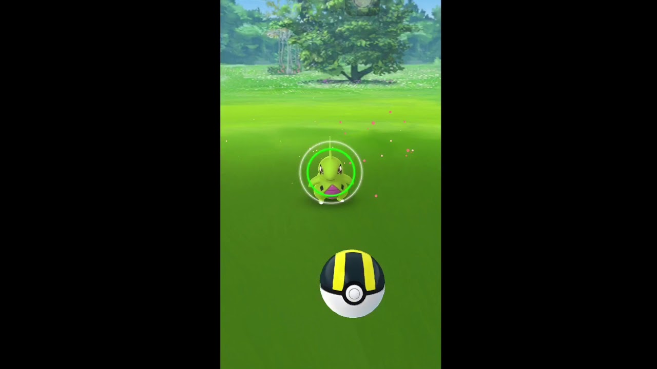 【ポケモンGO】ヨーギラスの色違い捕まえた！