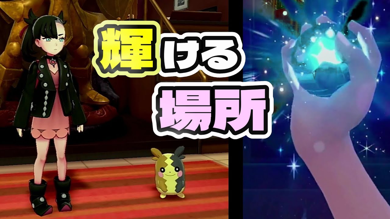 【ポケモンSV】パルデアでなら輝けるモルペコ（シングルランク）