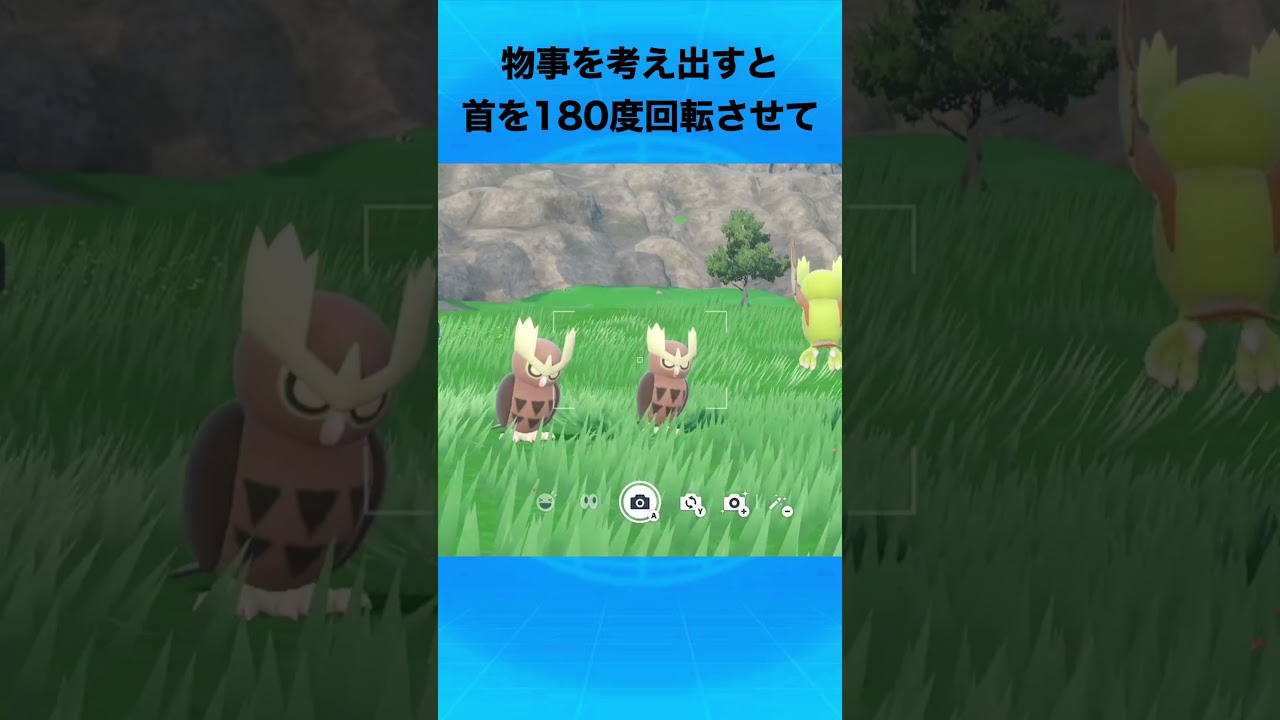 ヨルノズクについて #ポケモン #ヨルノズク #そらをとぶタクシー