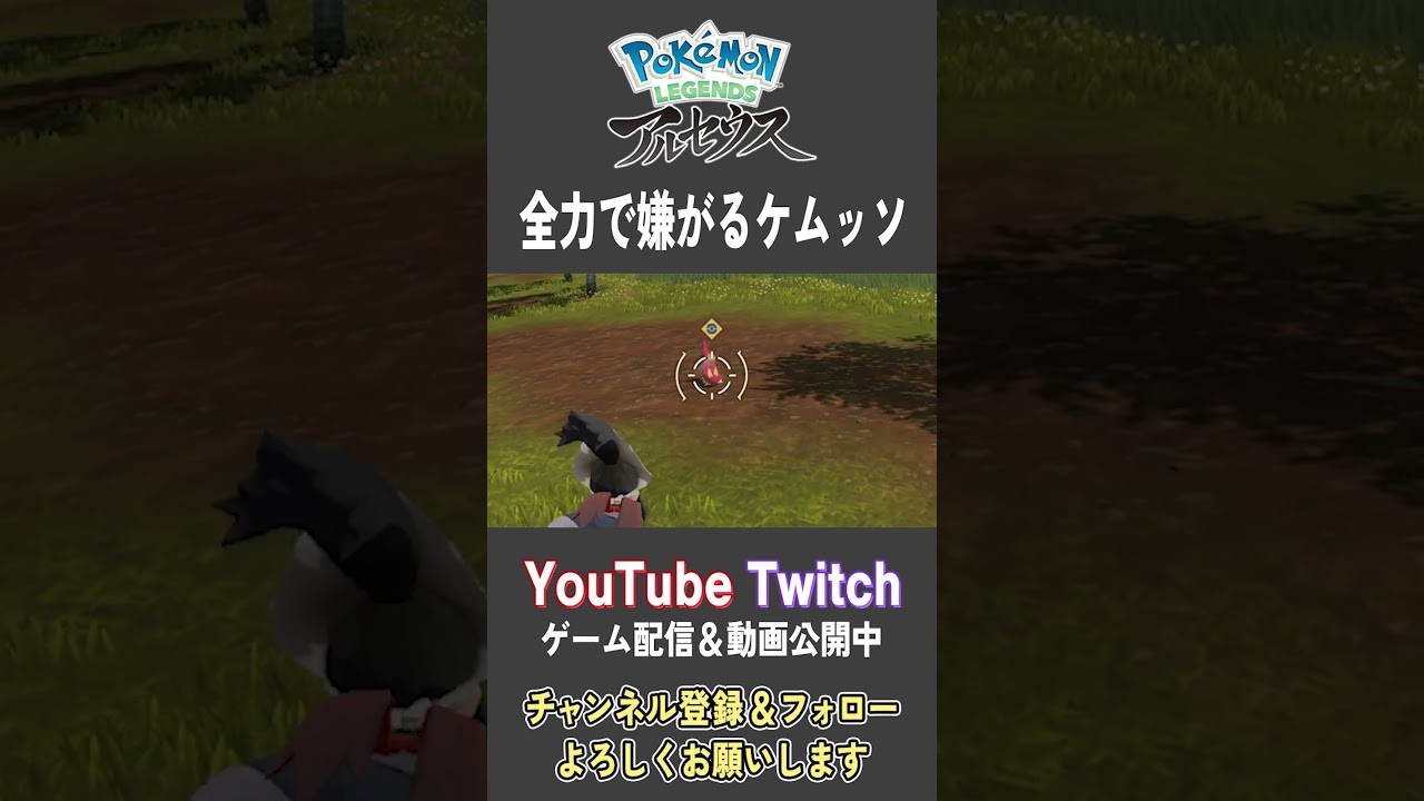 全力で嫌がるケムッソ【Pokemon LEGENDS アルセウス】【#Shorts】【#48】