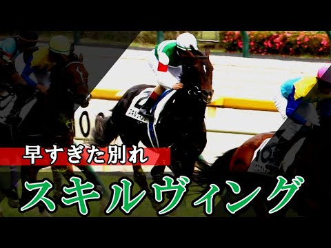 【解説】スキルヴィング