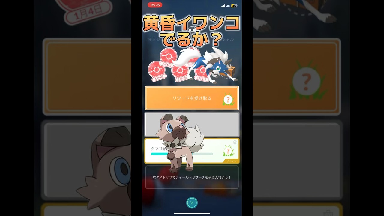 【ポケモンGO】たそがれイワンコくるか？フィールドリサーチ #ポケモンgo #pokemongo #pokémongo