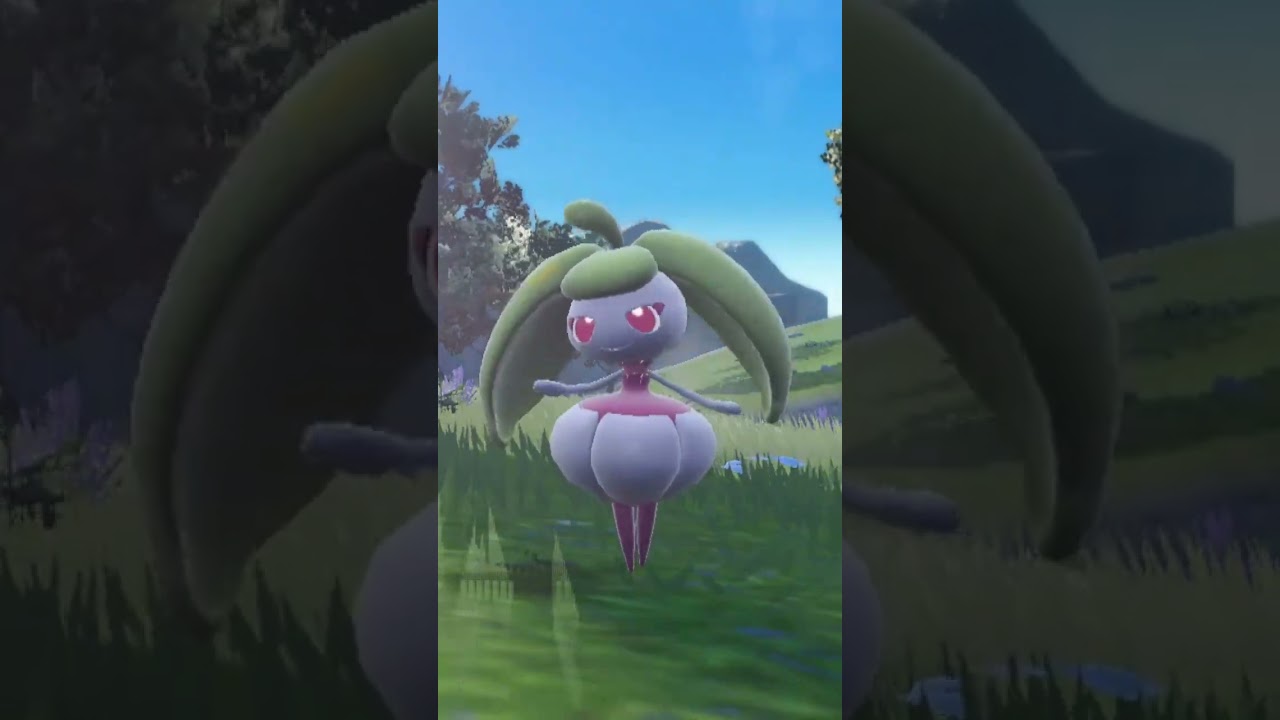 アママイコ Steenee【ポケモンsv】