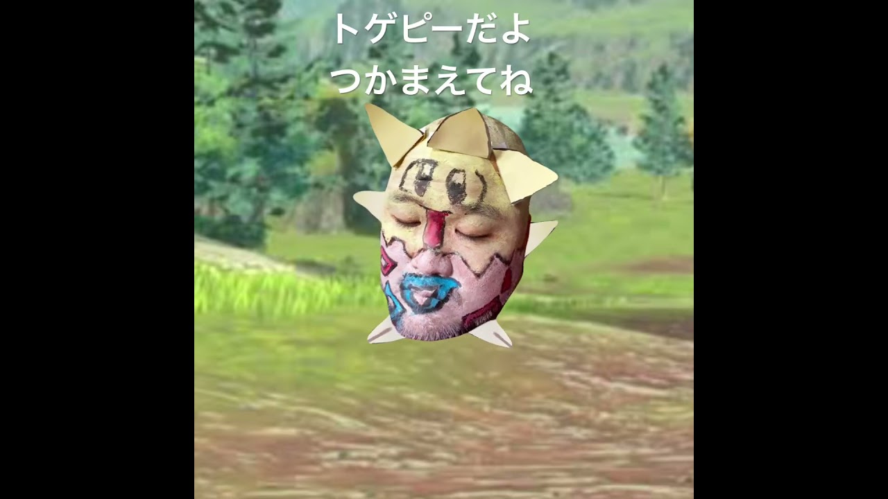 トゲピーだよつかまえてね#Pokemon#ポケモン#ポケカ