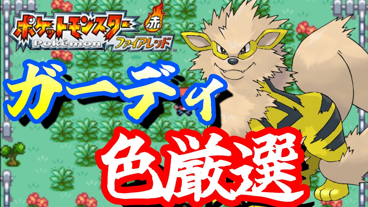 神個体の色違いガーディ取る！！！～色違いウコンパ編～