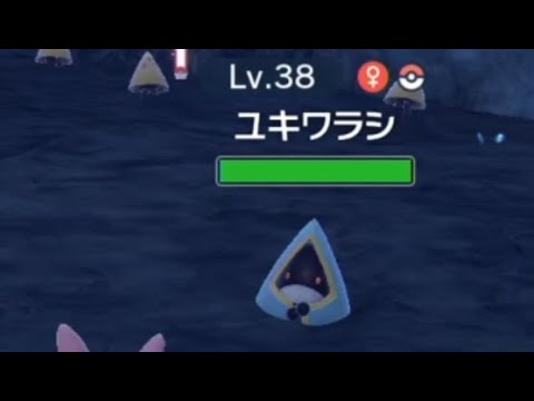 ポケモンSV 野生の色違いの旅 ユキワラシ 色違い 場所 攻略 #ポケモンSV #PokemonScarletViolet