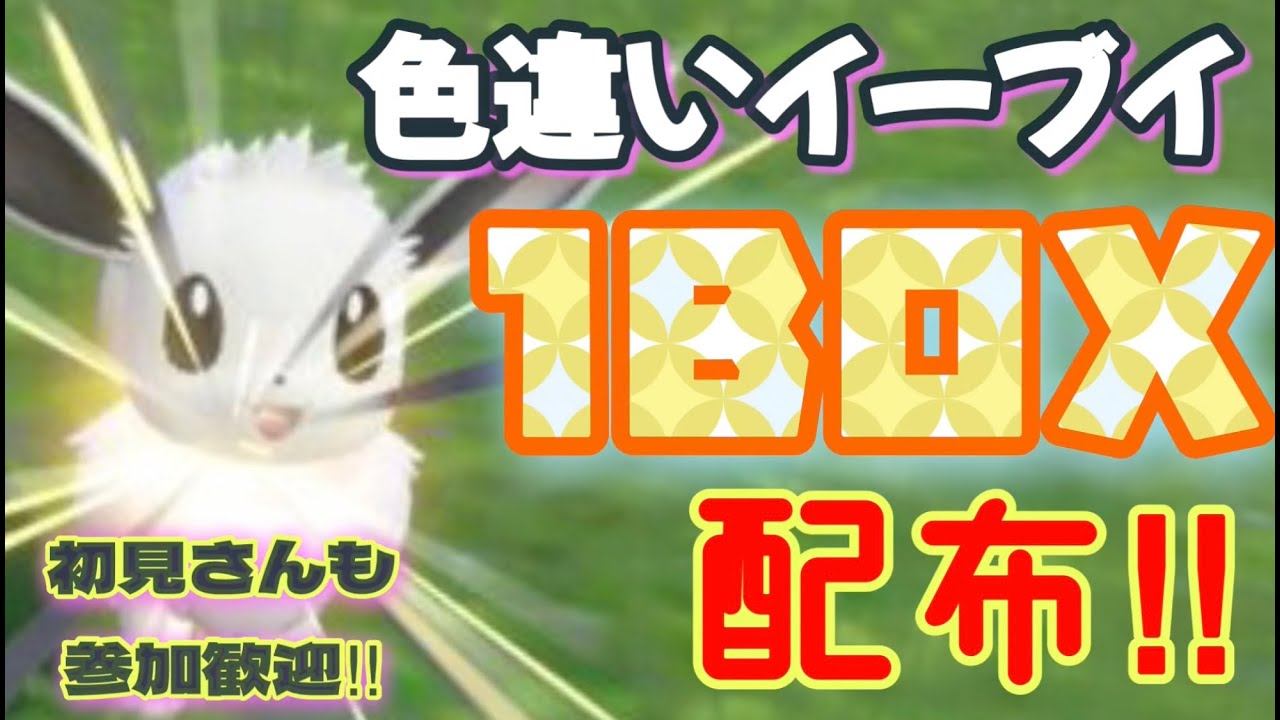 「色違い配布！ポケモンSV」色違いイーブイ1BOX配布！！ラストワンもあるよ～！！！