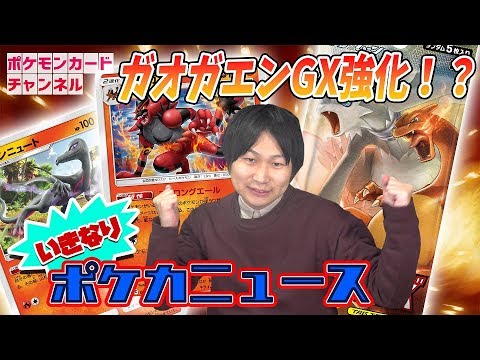 【初公開】ガオガエン・エンニュート【ダブルブレイズ新カード】